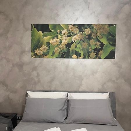 B&B Sulviale Ladispoli Dış mekan fotoğraf